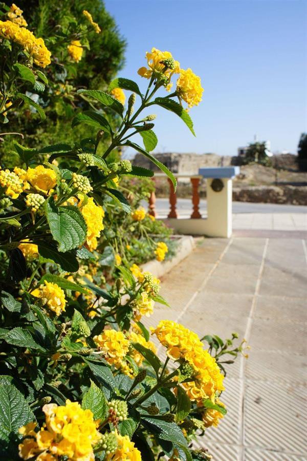 הרסוניסוס Senses Blue Boutique Hotel מראה חיצוני תמונה